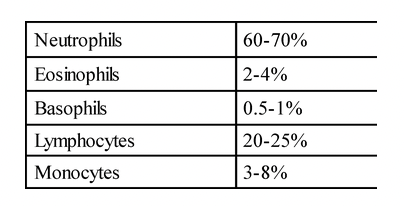 Leucocytes/WBC's